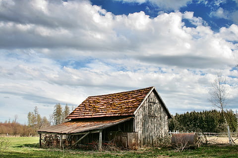 grau, Holzhaus, tagsüber, Rahmen, Wolken, Landschaft, Scheune, ländliche Szene, alt, Holz - Material, Bauernhof, verlassen, rustikal, verwittert, wolke - himmel, die Architektur, Himmel, gebaute Struktur, Gebäude, Gebäudehülle, Gras, Natur, Pflanze, Tag, Land, keine Leute, landwirtschaftliches Gebäude, heruntergewirtschaftet, Feld, Baum, Verschlechterung, ruiniert, draußen, 4K, CC0, gemeinfrei, lizenzfrei