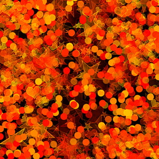 bokeh fotoğrafçılığı, mavi, ışıklar, arka fon, doku, renkler, dizayn, renk, Desen, kalpler, romantik arka plan, bütün çerçeve, çiçek, arka, çiçekli bitki, doğada güzellik, tazelik, bitki, insansız, doğa, büyüme, turuncu renk, kapatmak, Güvenlik açığı, kırılganlık, taçyaprağı, bolluk, Sarı, çiçek kafa, çiçeklenme, yüksek açılı görünüş, açık havada, 2K, CC0, kamu malı, telif ücretsiz
