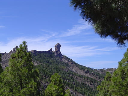 Roque, Kiefer, Gran Canaria, Baum, Pflanze, Himmel, Wachstum, Natur, Schönheit in der Natur, ruhige Szene, Ruhe, Szenen - Natur, Berg, Tag, grüne Farbe, keine Leute, Nicht-städtische Szene, Landschaft, Umgebung, Land, die Architektur, wolke - himmel, Flachwinkelansicht, draußen, 1080P, CC0, gemeinfrei, lizenzfrei