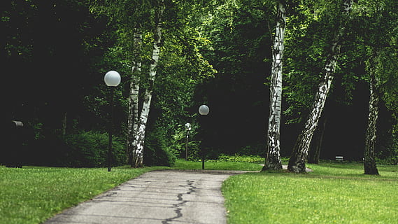 nature, forest, trees, grass, environment, idyllic, lamppost, park, pathway, scenic, tranquil, woods, tree, plant, green color, no people, ball, land, day, outdoors, sport, growth, park - man made space, footpath, trunk, tree trunk, field, tranquility, tranquil scene, 5K, CC0, public domain, royalty free