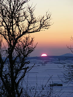 solnedgang, vinter, landskap, snø, sol, fargespill, humør, kald, bare tre, himmel, scenics, silhouette, naturskjønnhet - natur, skjønnhet i naturen, tre, ro, vann, rolig scene, gren, ingen folk, natur, anlegg, ikke-urbane scene, idylliske, kaldtemperatur, utendørs, 2K, CC0, offentlig domene, opphavsrett gratis
