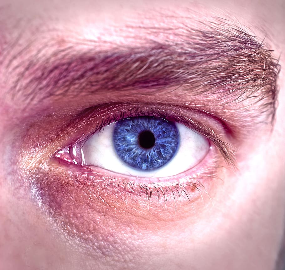 ochi, albastru, față, Prezentare generală, vedere, perceptie senzoriala, ochiul uman, partea corpului uman, a închide, parte a corpului, o persoana, geană, globul ocular, bărbați, portret, privind camera, extreme close-up, sprânceană, iris - ochi, oameni adevărați, adult, macro, umane, pleoapă, 2K