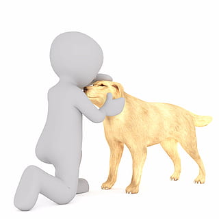 Brun, hund, person illustration, hanner, 3d model, isolerede, 3d, model, fuld krop, hvid, 3d mand, 3d-model, hvid mand, labrador, gylden, retriever, illustration, dyr, kæledyr, pattedyr, dyre temaer, studio skud, hvid baggrund, repræsentation, skåret ud, ingen mennesker, indendørs, husdyr, indenlandske, hvirveldyr, et dyr, hunde, figur, Kunst og håndværk, dyr repræsentation, stående, 8K, CC0, offentligt domæne, royaltyfrie