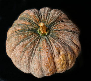 ampla, abóbora, dia das Bruxas, outono, Ação de graças, Comida, vegetal, videira de squash, cozinhando, crescer, marketplace, cor, fundo preto, tiro do estúdio, comida e bebida, frescura, fechar-se, único objeto, Alimentação saudável, ninguém, dentro de casa, bem-estar, comida crua, orgânico, diretamente acima, Cortar fora, Castanho, ainda vida, 4K, CC0, domínio público, royalty free