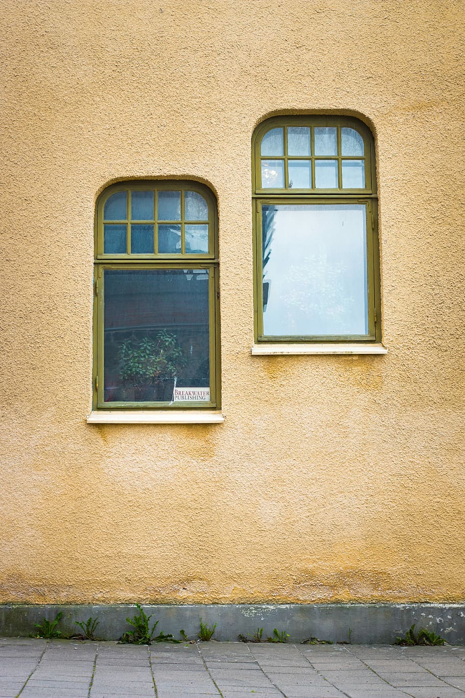 Due, grigio, finestre di vetro della struttura, verde, metallo, incorniciato, finestra di vetro, finestra, parete, gesso, esterno, fotografia, struttura costruita, architettura, esterno dell'edificio, giorno, costruzione, vetro - materiale, caratteristica della parete, nessuno, all'aperto, quartiere residenziale, Casa, natura, Inquadratura dal basso, giallo, pianta, sicurezza, luce del sole, bicchiere, telaio della finestra, 5K