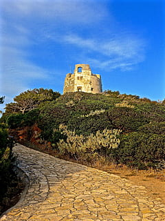 torre, pedra, Camí, pujar, vessant, relleu, arquitectura, fort, història, lloc famós, castell, cel, estructura construïda, el passat, exterior de l'edifici, arbre, edifici, naturalesa, dia, planta, cap gent, destinacions de viatge, blau, paret, antic, viatjar, vell, a l'aire lliure, paret de pedra, arruïnat, civilització antiga, 4K, CC0, domini públic, lliure de regalies