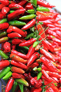 Chili, Scharf, rot, würzen, Schoten, Chilischoten, Lebensmittel, Pfefferernte, bunt, bio, würzig, Schärfe, Grün, Gemüse, Essen und Trinken, Pfeffer, Chili-Pfeffer, rote Chilischote, große gruppe von gegenständen, Stillleben, Frische, Nahansicht, Wohlbefinden, Fülle, keine Leute, gesundes Essen, Vollbild, grüne Farbe, Markt, High Angle View, 4K, CC0, gemeinfrei, lizenzfrei