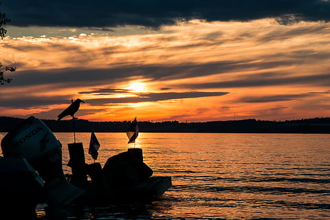 llac, posta de sol, núvols, tarda, platja, saimaa, finlandès, paisatge, ocell, vaixell, canotatge, naturalesa, foto de la natura, estiu, tarda d'estiu, cel, vaixell nàutic, silueta, mar, vespre, pescador, pescar, aigua, núvol - cel, color taronja, escenics - natura, bellesa a la natura, tranquil·litat, escena tranquil·la, persones reals, rock, activitat d'oci, davant del mar, estils de vida, escena no urbana, idíl·lic, a l'aire lliure, 4K, CC0, domini públic, lliure de regalies
