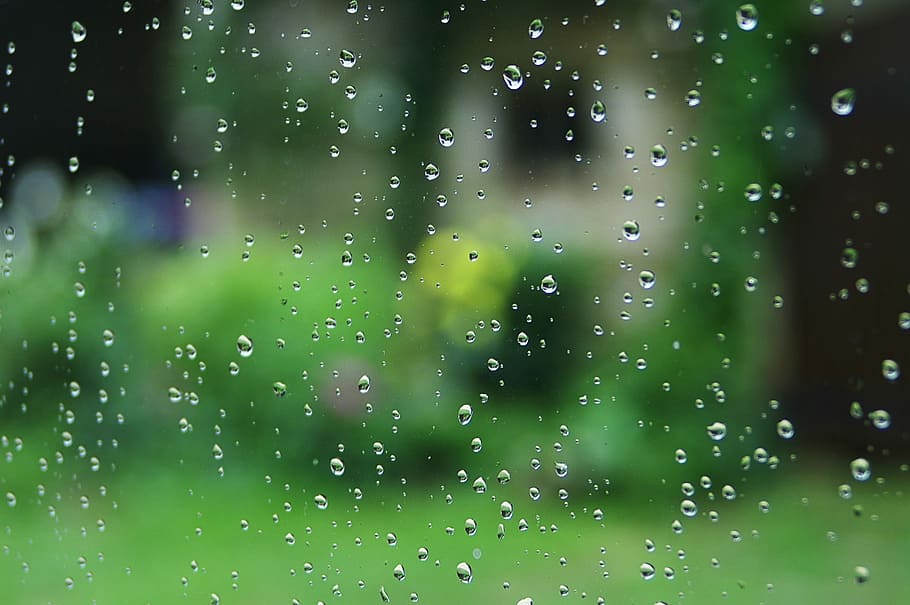pluja, caiguda, finestra, aigua, pluja, tirar, deixar anar aigua, color verd, humit, fons, cap gent, primer pla, centrar-se en primer pla, naturalesa, teranyina, bellesa a la natura, gota de pluja, marc complet, planta, fragilitat, dia, frescor, a l'aire lliure, temporada de pluges, complexitat, rosada, 1080P