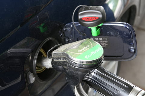 schwarz, Gas, Pumpe, Fahrzeuggastank, tanken, Auto, Tankstellen, Energie, Zapfsäule, Benzin, Diesel-, Transportmittel, Transport, Nahansicht, keine Leute, Landfahrzeug, Kraftfahrzeug, Steuerung, Technologie, draußen, Text, Sicherheit, Kommunikation, Fokus auf den Vordergrund, Tag, Reise, Umgebung, Nummer, High Angle View, 2K, CC0, gemeinfrei, lizenzfrei
