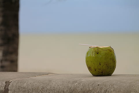coco, strand, hvile, helligdage, slap af, varme, Opdater, vand, frugt, mad, friskhed, natur, moden, sund kost, mad og drikke, velvære, enkelt objekt, sund livsstil, æble - frugt, ingen mennesker, dag, grøn farve, jord, fokus på forgrunden, himmel, solrig, udendørs, miljø, rejse, 4K, CC0, offentligt domæne, royaltyfrie