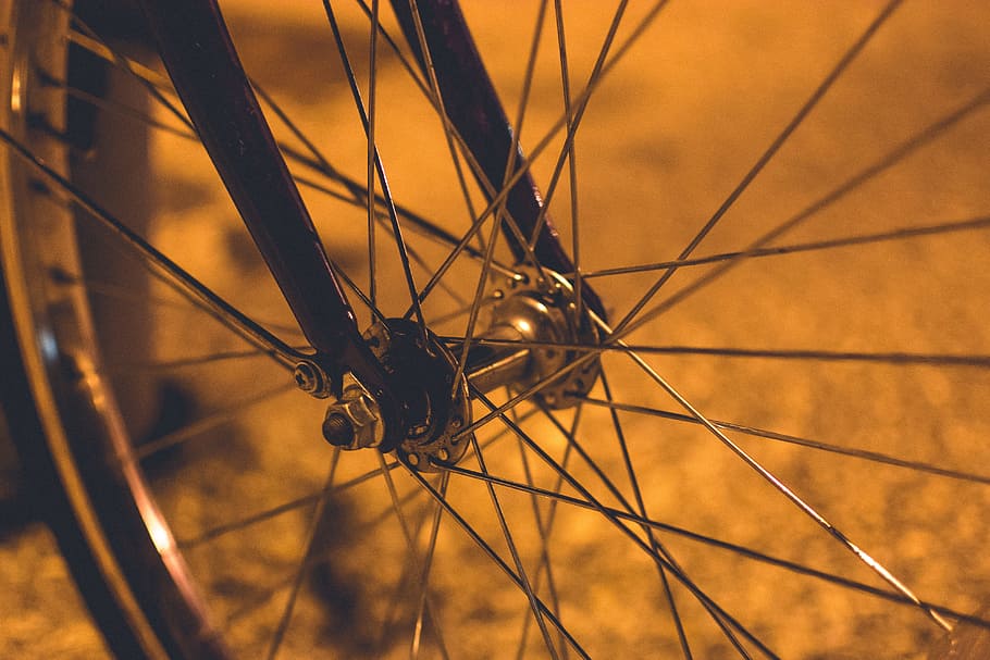 silberne Fahrradfelge, grau, stahl fahrradfelge, schwarz, Gabel, Fahrrad, Rand, Gras, Rad, Reifen, gesprochen, Transport, Zyklus, Sport, Radfahren, Nahansicht, Ausrüstung, Hintergründe, draußen, keine Leute, Fokus auf den Vordergrund, Vollbild, ein Tier, Tierthemen, Tag, Metall, Tier, Natur, Tierwelt, Transportmittel, Tiere in freier Wildbahn, Landfahrzeug, verheddert, 4K