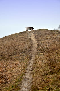 hill, rest, excursion, sunshine, sky, landscape, environment, land, grass, field, nature, no people, plant, day, built structure, architecture, outdoors, dirt, non-urban scene, rural scene, transportation, clear sky, road, dirt road, 4K, CC0, public domain, royalty free