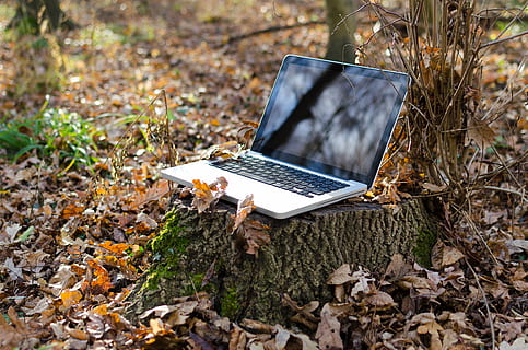 Macbook Pro, Laptop, Computer, pc, Notizbuch, Grün, kabellos, Mobilität, Gras, Tastatur, Feld, Technologie, Natur, Bildschirm, Internet, Geschäft, Netzwerk, niemand, Kommunikation, Monitor, Netz, draussen, draußen, Objekt, Verbindung, Arbeit, Umwelt, öffnen, Ökologie, Fernbedienung, Büro, Wiese, Konzept, Energie, W-lan, sparen, Schutz, natürlich, Blumen, Tag, frisch, Herbst, Winter, warm, kabellose Technologie, mit laptop, Computer Tastatur, Portabilität, Land, Blatt, Pflanzenteil, keine Leute, High Angle View, trocken, Pflanze, Fokus auf den Vordergrund, Blätter, 4K, CC0, gemeinfrei, lizenzfrei