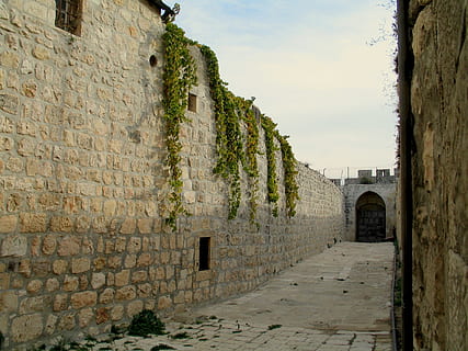 beige, murstens væg, grøn, vinplanter, jerusalem, væg, gammel, arkitektur, historisk, jødisk, bygning, israel, sten-, klippe, rejse, bygget struktur, himmel, fortiden, historie, bygning udvendig, murbygningsfunktion, sti, dag, ingen mennesker, natur, vejen frem, bue, retning, sky - himmel, Stenmur, udendørs, gyde, mursten, 2K, CC0, offentligt domæne, royaltyfrie