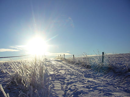 inverno, Dom, luz de fundo, humor, natureza, céu, ninguém, ao ar livre, panorama, cena rural, azul, luz solar, imagem colorida, campo, scenics, de praia, raio de Sol, reflexo de lente, areia, tranquilidade, cena tranquila, beleza na natureza, scenics - natureza, brilhante, terra, temperatura fria, neve, dia, fronteira, barreira, céu limpo, 2K, CC0, domínio público, royalty free