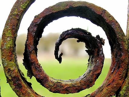 Foto geschlossen, rostig, spiralförmiges Metall, Rost, Eisen, scrollen, stehlen, Jahrgang, schmutzig, verrostet, metallisch, Oberfläche, alt, verwittert, Metall Textur, rustikal, Spiral-, Algen, keine Leute, Baumstamm, Kofferraum, Tag, Natur, Himmel, Pflanze, Baum, Loch, Fokus auf den Vordergrund, Nahansicht, Kreis, Metall, draußen, Geometrische Figur, gestalten, beschädigt, Ruhe, ruiniert, 1080P, CC0, gemeinfrei, lizenzfrei