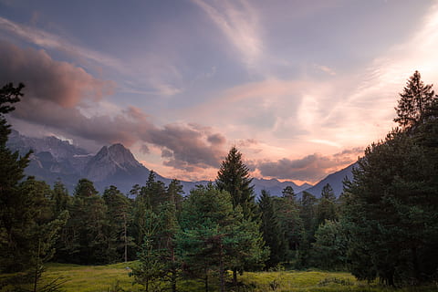 furutrær, fjell, dagtid, topp, utsikt, skog, landskapsfotografering, grønn skog, cirrus skyene, Sky, natur, landskap, scenics, utendørs, tre, fjellkjede, himmel, fjelltopp, skjønnhet i naturen, sky - himmel, solnedgang, sommer, naturskjønnhet - natur, anlegg, rolig scene, ro, ikke-urbane scene, idylliske, miljø, vekst, ingen folk, grønn farge, land, nåletre, 5K, CC0, offentlig domene, opphavsrett gratis