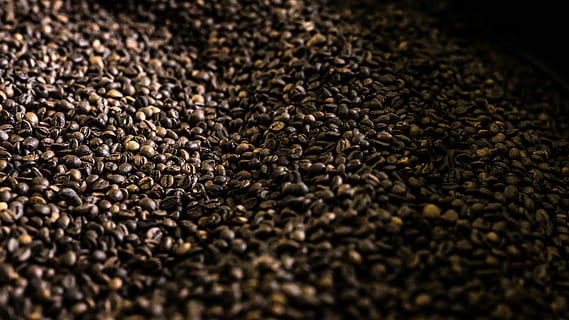 Kaffeekorn viel, Haufen, braun, Kaffeebohnen, Bohne, Kaffee, Muster, Textur, Licht, Essen und Trinken, Fülle, große gruppe von gegenständen, Kaffee trinken, Lebensmittel, geröstete Kaffeebohne, selektiver Fokus, keine Leute, Frische, Getränk, geröstet, Kaffee Ernte, Nahansicht, Koffein, Vollbild, drinnen, Stillleben, Hintergründe, 5K, CC0, gemeinfrei, lizenzfrei