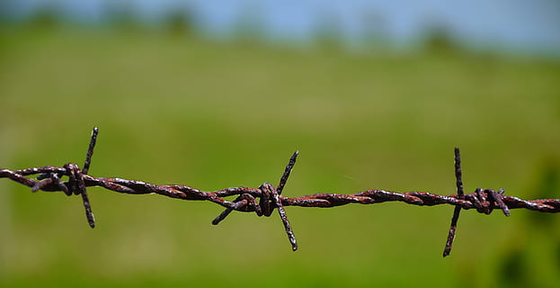 draad, breiwerk, landschap, Roest, WireView, prikkeldraad, focus op de voorgrond, buitenshuis, geen mensen, groene kleur, bescherming, veiligheid, hek, barrière, grens, metaal, waarschuwingsbord, scherp, natuur, dag, teken, verboden, detailopname, roestig, uitsluiting, 4K, CC0, publiek domein, royaltyvrij