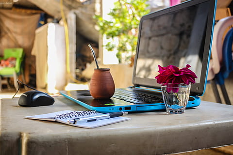 brown, clay pot, black, blue, laptop, computer, desk, electronics, flora, flowers, mouse, notebook, pen, table, work, workspace, flower, plant, flowering plant, no people, day, business, focus on foreground, absence, technology, furniture, indoors, nature, vase, household equipment, freshness, food and drink, kitchen utensil, 5K, CC0, public domain, royalty free
