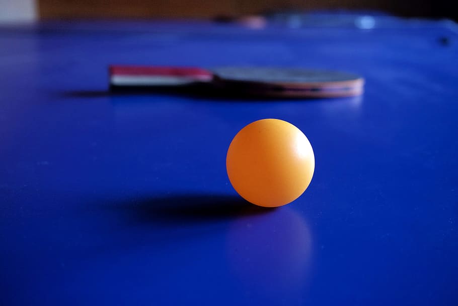 esport, pilota, joc, macro, raqueta, tennis taula, blau, fons de colors, a l'interior, pilota de piscina, menjar i beguda, cap gent, primer pla, esport de piscina, menjar, taula de billar, tir de l'estudi, taula, groc, color taronja, indicació de la piscina, activitat d'oci, alimentació saludable, fons blau, porpra, 5K