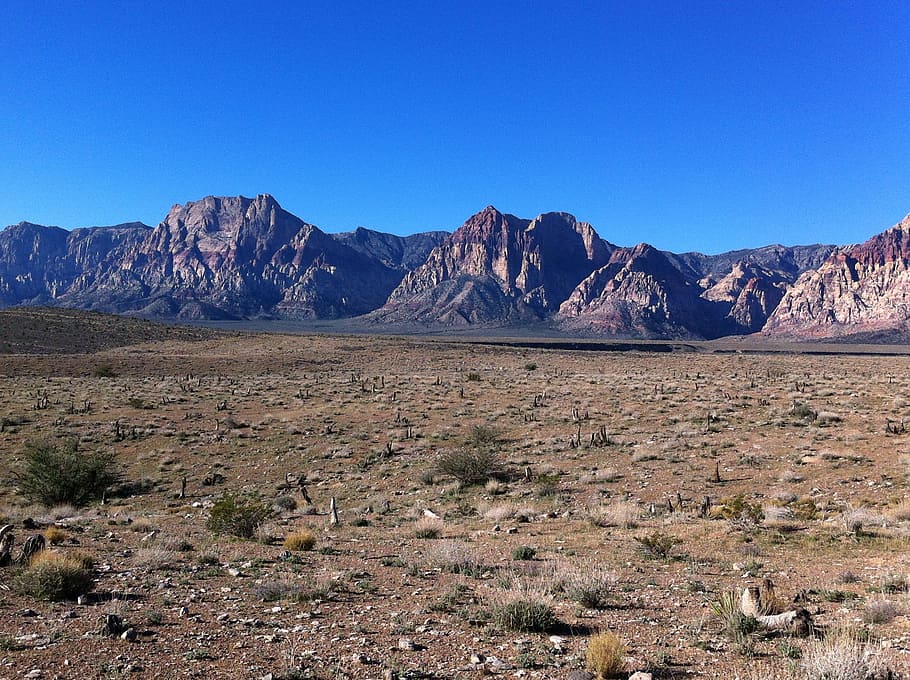 verde, erbe, montagna, vicinanza, deserto, Nevada, paesaggio, scenics - natura, ambiente, catena montuosa, cielo, roccia, terra, natura, clima arido, bellezza nella natura, roccia - oggetto, cielo sereno, nessuno, semi arido, solido, blu, destinazioni di viaggio, scena non urbana, clima, all'aperto, formazione, picco di montagna, 2K
