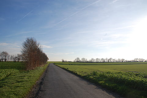 field, path, promenade, sky, plant, road, landscape, grass, the way forward, direction, tree, tranquility, tranquil scene, scenics - nature, land, environment, nature, beauty in nature, cloud - sky, diminishing perspective, no people, day, outdoors, 2K, CC0, public domain, royalty free
