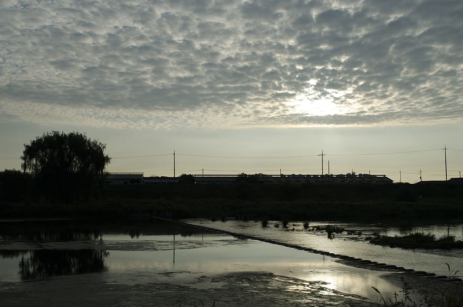 paisatge, negatius, llum de fons, fons, ombra, cel, llum, aigua, núvol - cel, posta de sol, reflexió, naturalesa, bellesa a la natura, llac, cap gent, escenics - natura, silueta, a l'aire lliure, tranquil·litat, planta, arbre, sol, medi ambient, llum solar, electricitat, 4K