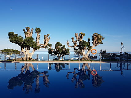 to, træer, svømning, himmel, pool, højdepunkter, spejl, sommer, blå, luksus, turisme, costa, nerja, malaga, vand, natur, afspejling, Palme træ, træ, udendørs, rejse steder, svømmepøl, sport, gruppe af mennesker, konkurrence, plante, skyfri himmel, dag, havnefronten, sø, ingen mennesker, ro, tropisk klima, rejsemål, 4K, CC0, offentligt domæne, royaltyfrie