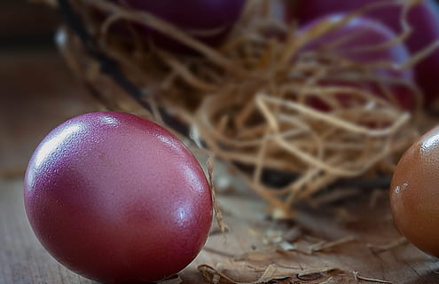 telur Paskah, telur, warna, berwarna, telur berwarna, Paskah, bea cukai, dekat, makanan, makanan dan minuman, merapatkan, kesejahteraan, kesegaran, masih hidup, makan sehat, perayaan, dalam ruangan, tidak ada orang, fokus pada latar depan, telur hewan, buah, kerapuhan, alam, warna merah jambu, ungu, 1080P, CC0, domain publik, bebas royalti