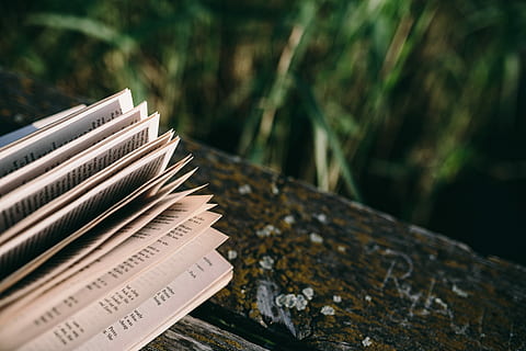 lake, Reading book, people, summer, book, opened notebook, time, old pier, evening, magic hour, wooden pier, girl reading book, boy reading book, man with book, woman with book, wooden boards, pier, no people, outdoors, day, close-up, text, communication, focus on foreground, plant, nature, tree, wood - material, publication, western script, paper, stack, selective focus, still life, tree trunk, grass, 5K