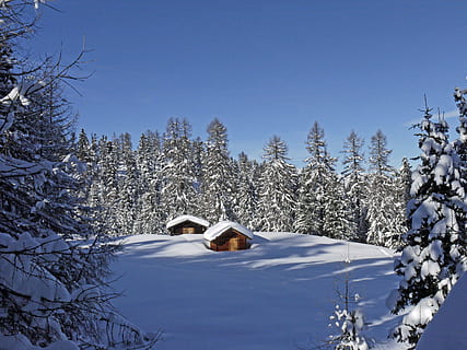 casă, câmp de zăpadă, inconjurat, copaci, calmant, cer, de iarnă, zăpadă, rece, iarnă, temperatura rece, copac, Brad, Munte, plantă, natură, frumusețe în natură, acoperire, scenice - natura, zi, liniște, teren, albastru, spațiu copie, culoare alba, îngheţat, scenă non-urbană, nici o persoana, în aer liber, conifer, un munte acoperit de zăpadă, 4K, CC0, domeniu public, fără drepturi de autor