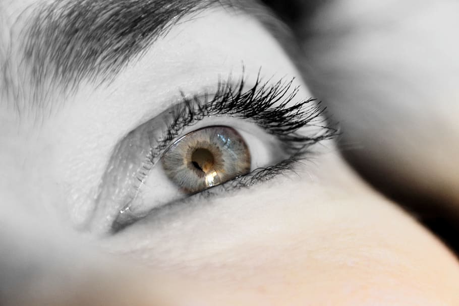 fotografia in scala di grigi, destra, umano, occhio, ciglia, vista, vicino, iris, donna, femmina, allievo, blu, macro, occhio umano, parte del corpo, percezione sensoriale, parte del corpo umano, avvicinamento, una persona, ciglio, analizzare, cercare, guardare, adulto, volto umano, iride - occhio, giovane adulto, ritratto, primo piano estremo, sopracciglio, bulbo oculare, contemplazione, bella donna, 2K