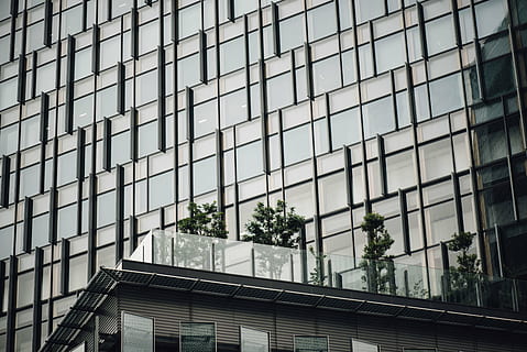 verme, vista dell'occhio, costruzione di vetro, costruzione, struttura, infrastruttura, istituzione, Hotel, città, urbano, architettura, arte, bicchiere, piante, alberi, finestra, acciaio, struttura costruita, esterno dell'edificio, nessuno, giorno, all'aperto, cielo, Inquadratura dal basso, vetro - materiale, fotogramma intero, riflessione, modello, natura, albero, moderno, pianta, quartiere residenziale, crescita, 5K, CC0, dominio pubblico, privo di copyright