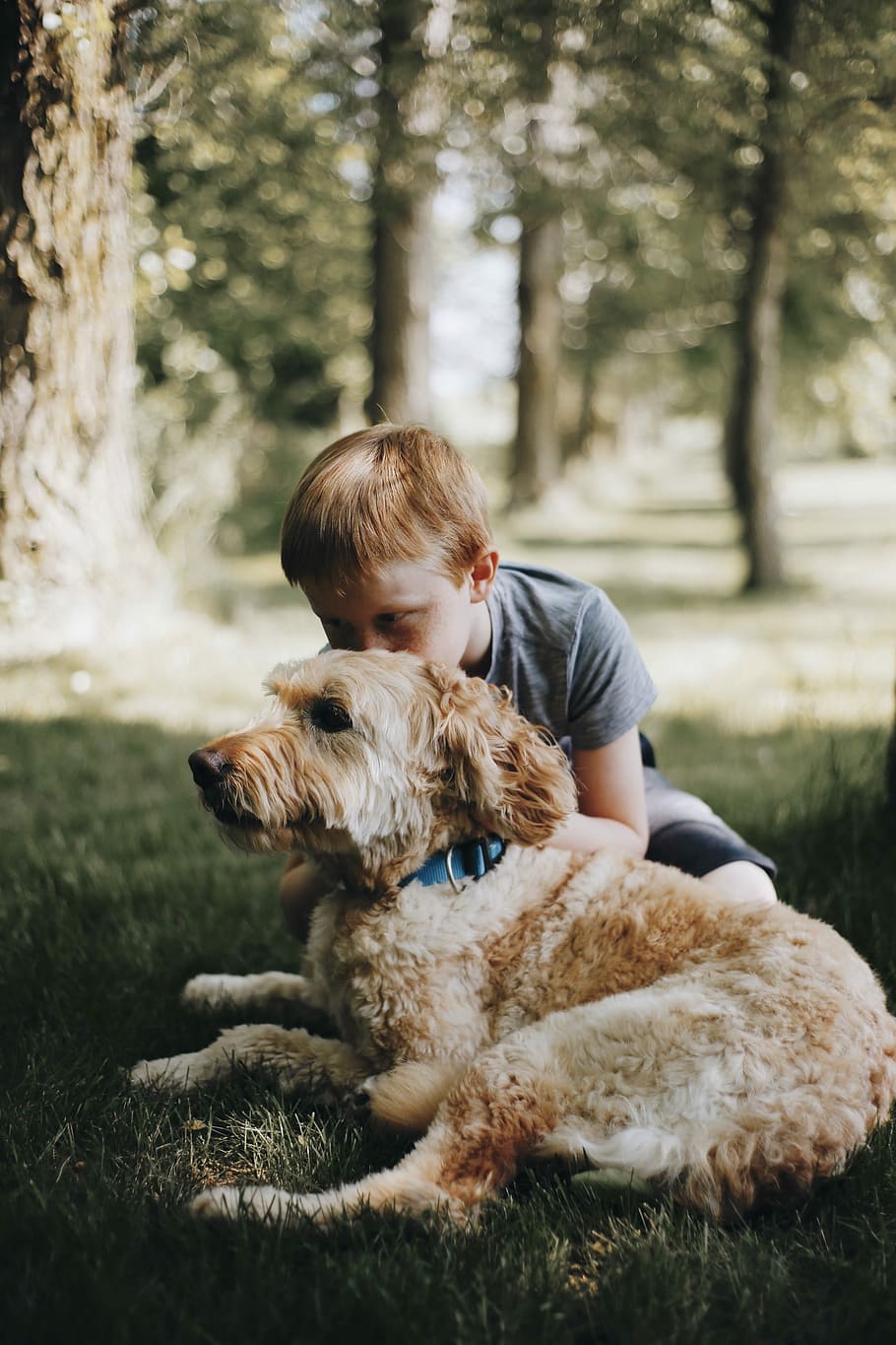 noi, petons, gos, posada, herba, abraçada, labradoodle, gespa, arbre, bosc, mascota, coll, amor, a l'aire lliure, parc, camp, animal, caní, nen, bonic, abraçar, petó, pati posterior, nacional, mamífer, mascotes, un animal, animals domèstics, temes d'animals, persones reals, una persona, vertebrats, planta, dia, activitat d'oci, infància, estils de vida, nois, propietari d’una mascota, 2K