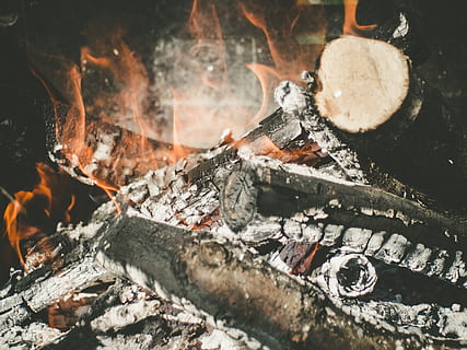 queimando lenha, fotografia em close-up, disparamos, madeira, fogo, chama, toras, queimar, ardente, fogo - fenômeno natural, calor - temperatura, fogueira, lenha, lareira, madeira - material, cozinhando, carvão, vermelho, cinza, fechar-se, ninguém, dia, ao ar livre, queimado, registro, natureza, quadro completo, fumaça - estrutura física, 2K, CC0, domínio público, royalty free