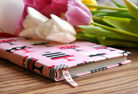 Notizbuch, Tulpe, Geschenk, Blume, drinnen, blühende Pflanze, keine Leute, Nahansicht, pinke Farbe, Pflanze, Tabelle, große gruppe von gegenständen, Papier-, Brief, Stift, Stillleben, Schreibgerät, Rose, Frische, Bleistift, Text, Schönheit in der Natur, 4K, CC0, gemeinfrei, lizenzfrei
