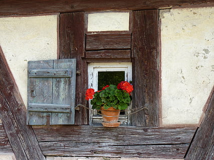 Fachwerk, Fenster, Blume, Verschluss, Heimatmuseum, Holz, die Architektur, Pflanze, Holz - Material, blühende Pflanze, gebaute Struktur, Gebäude, Gebäudehülle, Topfpflanze, Haus, keine Leute, Tag, Eingang, Tür, Natur, draußen, Wachstum, Wohngegend, rot, Fensterbox, Blumentopf, 4K, CC0, gemeinfrei, lizenzfrei
