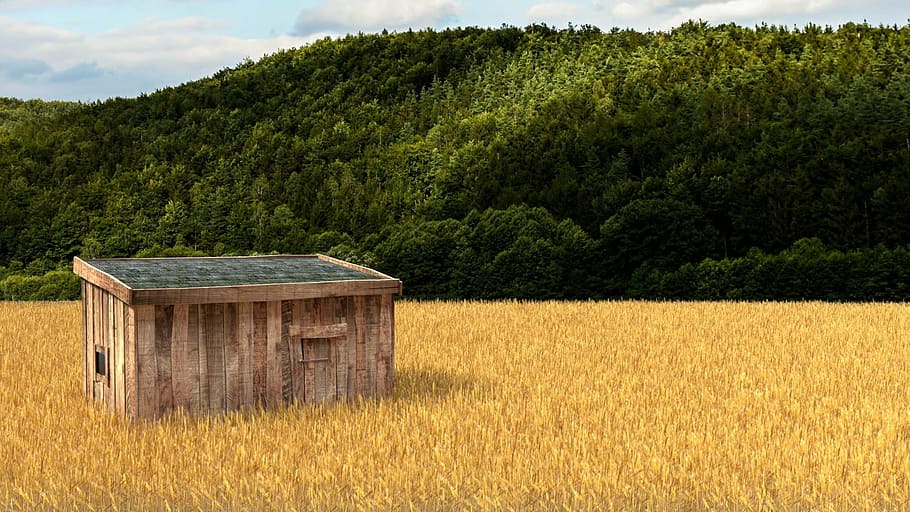 camp, Render 3D, liquadora, solitari, refugi, gràfics de sucs morats, planta, arbre, terra, paisatge, naturalesa, escena rural, arquitectura, escenics - natura, bellesa a la natura, cap gent, creixement, escena no urbana, escena tranquil·la, dia, bosc, medi ambient, agricultura, estructura construïda, tranquil·litat, a l'aire lliure, 1080P