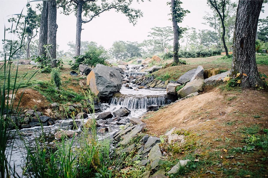 fiume, ruscello, acqua, rocce, natura, albero, pianta, foresta, tronco, tronco d'albero, terra, nessuno, giorno, crescita, solido, scena non urbana, roccia, la tranquillità, all'aperto, ambiente, bellezza nella natura, roccia - oggetto, legno - materiale, acqua corrente, bosco, flusso - acqua che scorre, fluente, 1080P