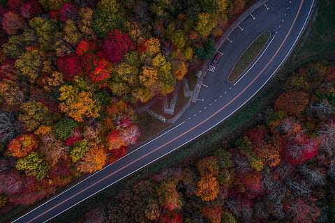 aereo, fotografia, strada, alberi autunnali, giorno, guarda la fotografia, alberi, autunno, colore, parco, auto, giallo, rosso, foresta, albero, fogliame, viaggio, fuco, persona, mezzi di trasporto, vista dall'alto, natura, modificare, pianta, nessuno, città, segnaletica stradale, movimento, parte vegetale, foglia, marcatura, all'aperto, simbolo, bellezza nella natura, 5K, CC0, dominio pubblico, privo di copyright