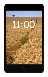 smartfone, zwart, nieuwe, knop, camera, ccd, klok, computer, controle, digitaal, bouwkunde, horizontaal, interface, hefboom, megapixel, multi-selector, OK, fotograaf, afbeelding, draaiend, scrolling, keuzeschakelaar, schieten, het schieten, zilver, staal, symbool, technologie, communicatie, fabriek, gras, Draadloze technologie, scherm, geen mensen, apparaatscherm, veld-, tekst, natuur, buitenshuis, touch screen, dag, land-, detailopname, aantal, verbinding, westers schrift, slimme telefoon, 1080P, CC0, publiek domein, royaltyvrij