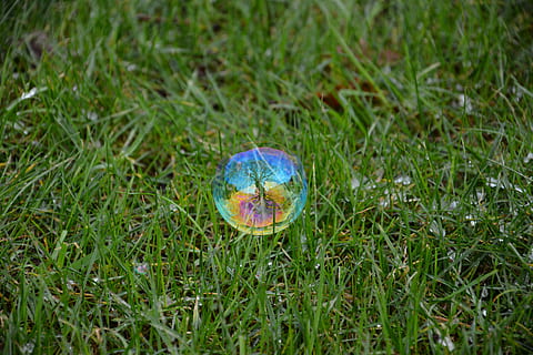 grass, tree, reflection, soap bubble, nature, day, outdoors, no people, green color, close-up, fragility, beauty in nature, plant, land, field, growth, high angle view, selective focus, single object, focus on foreground, food, blue, environment, vulnerability, 5K, CC0, public domain, royalty free
