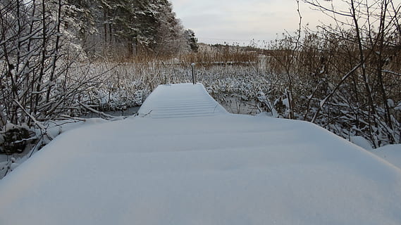 sne, vinterlige, kold temperatur, vinter, vejen frem, træ, retning, bare træ, plante, ro, natur, ingen mennesker, faldende perspektiv, rolig scene, hvid farve, scenics - natur, skønhed i naturen, dag, himmel, jord, udendørs, 4K, CC0, offentligt domæne, royaltyfrie