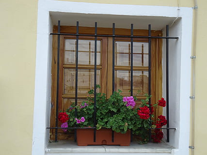 okno, okna, architektura, dom, kompozycja, kwiaty, pelargonie, stare okno, ontinyent, kwiat, zbudowana struktura, roślina, roślina kwitnąca, budynek, na zewnątrz budynku, wzrost, żadnych ludzi, dzień, Natura, roślina doniczkowa, drzwi, szkło - materiał, wejście, parapet, okno dialogowe, na dworze, doniczka, rama okienna, 4K, CC0, domena publiczna, darmowe zdjęcia