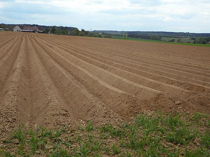 cresta, arabile, ackerfurchen, terra, coltivazione, agricoltura, paesaggio, ambiente, campo, scena rurale, scena tranquilla, azienda agricola, natura, cielo, la tranquillità, scenics - natura, nuvola - cielo, giorno, bellezza nella natura, nessuno, pianta, crescita, Marrone, all'aperto, 4K, CC0, dominio pubblico, privo di copyright