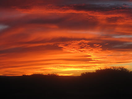 Sonnenuntergang, Wolken, Rottöne, dunkel, Purpur, Orange, Zinnoberrot, Gelb, geschichtet, Farbwäsche, Bürste, Himmel, orange Farbe, wolke - himmel, Schönheit in der Natur, Ruhe, Szenen - Natur, ruhige Szene, Dramatischer Himmel, Umgebung, keine Leute, Natur, Scheu, Silhouette, Landschaft, idyllisch, Sonnenlicht, Nicht-städtische Szene, Baum, Sonne, draußen, romantischer Himmel, 2K, CC0, gemeinfrei, lizenzfrei