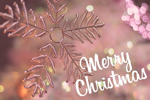 bianca, allegro, testo di auguri di Natale, buon Natale, saluto, testo, Natale, inverno, defocused, decorazione, stagione, la neve, celebrazione, sfondi, fiocco di neve, brillante, avvicinamento, scienza, nessuno, illuminato, giorno, comunicazione, evento, sceneggiatura occidentale, attrezzatura per l'illuminazione, luce - fenomeno naturale, decorazione natalizia, concentrarsi sulle conoscenze acquisite, pianta, luci di Natale, raggiante, natura, all'aperto, ornamento di Natale, Messaggio, 1080P, CC0, dominio pubblico, privo di copyright