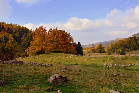 excursie, copaci, toamnă, traseu, Munte, calea europeană, e5, Lessinia, Italia, plantă, copac, liniște, o scenă liniștită, Schimbare, cer, frumusețe în natură, nor - cer, teren, natură, scenice - natura, mediu inconjurator, nici o persoana, peisaj, creştere, scenă non-urbană, camp, zi, culoare portocalie, în aer liber, cădea, 4K, CC0, domeniu public, fără drepturi de autor